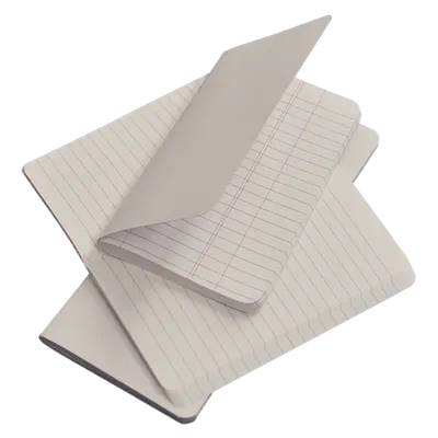 Ruled tally book refill pads